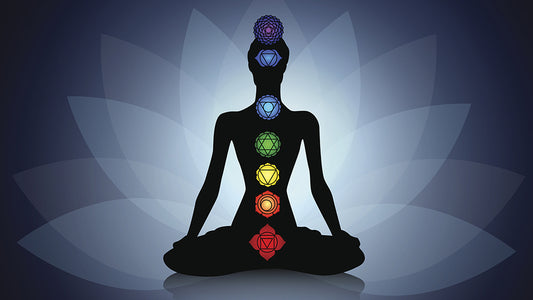 The Chakra System